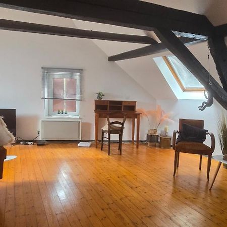 Brunstatt-DidenheimLoft Gaiaアパートメント エクステリア 写真
