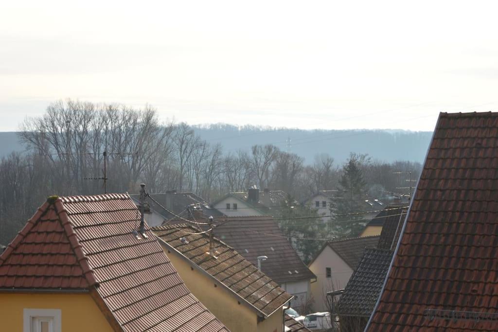 Brunstatt-DidenheimLoft Gaiaアパートメント エクステリア 写真